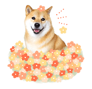 SHIBA MARU สติกเกอร์ป๊อปอัพ รูปที่ 18