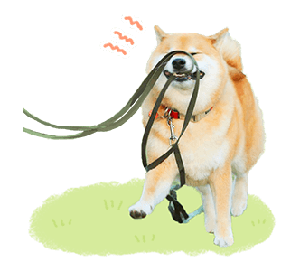 SHIBA MARU สติกเกอร์ป๊อปอัพ รูปที่ 19