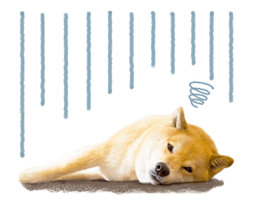 SHIBA MARU สติกเกอร์ป๊อปอัพ รูปที่ 20