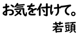 158520026
