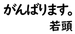 158520034