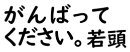 158520035
