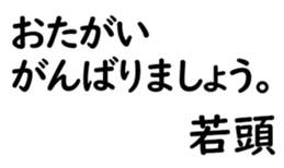 158520037