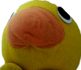 15855995
