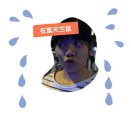 158601385