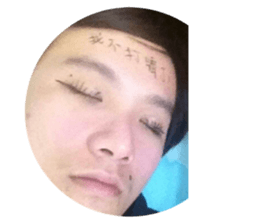 158603400