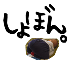 158634878