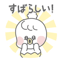 158662246