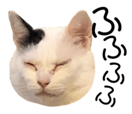158663314