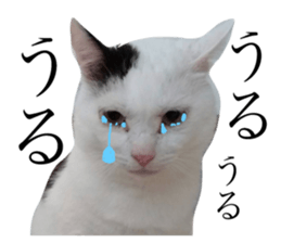 158663317