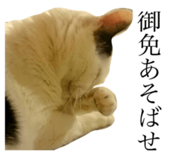158663323