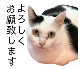 158663330