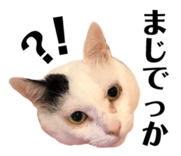 158663331