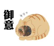 158711258