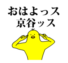 158764048