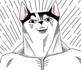 15881993