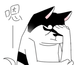 15882003