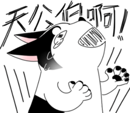 15882009