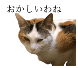 158820433
