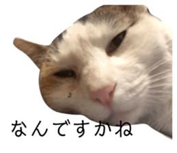 158820435