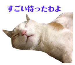158820436