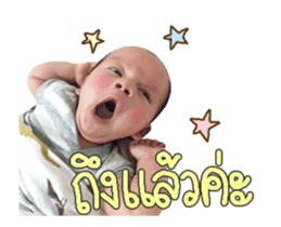 158823544