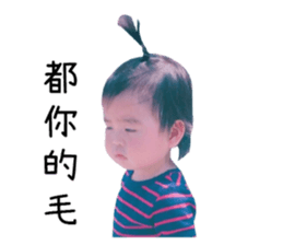 15884698