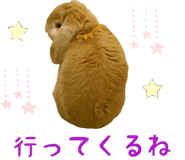 15886425