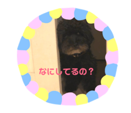 158895457