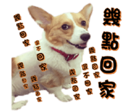 15891180