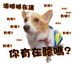 15891191