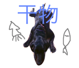 158918477