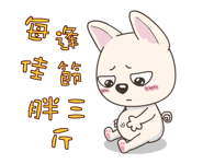 15893335