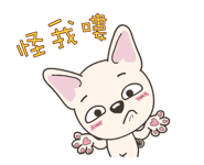 15893339