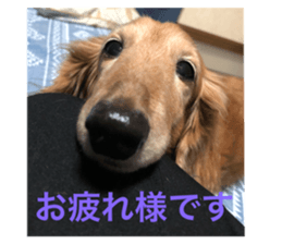 158933613