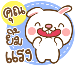159134537