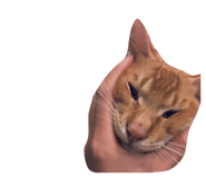 159156857