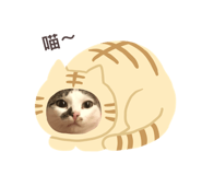 159156863