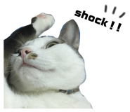 159156865