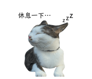 159156868