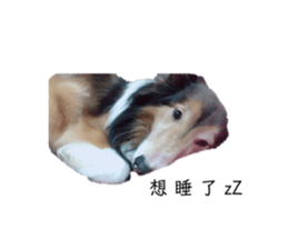 159178073