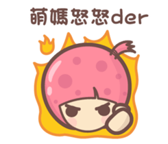 159216501