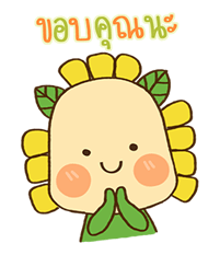 The SALADS รูปที่ 12