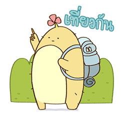The SALADS รูปที่ 14