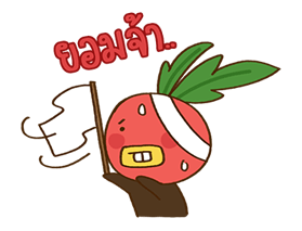 The SALADS รูปที่ 40