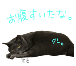159262614