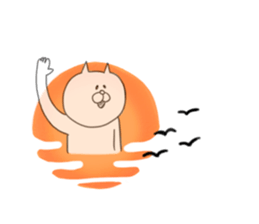 1593216