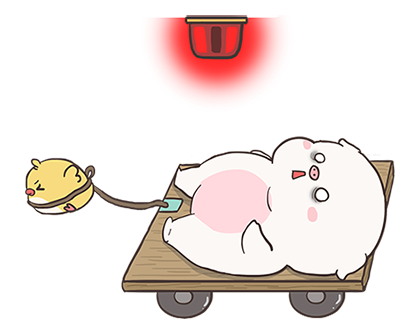 ลายที่ 31