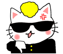 159377260