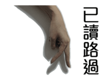 15943100